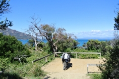 Tassie-Pt2